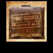 Il testo IO VIVO COME TE di PINO DANIELE è presente anche nell'album Ricomincio da 30 (2008)