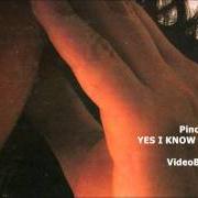 Il testo DUBBI NON HO di PINO DANIELE è presente anche nell'album Yes i know my way (1998)