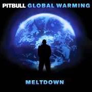 Il testo DRINKS FOR YOU (LADIES ANTHEM) di PITBULL è presente anche nell'album Global warming: meltdown (2013)