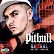 Il testo WHO U ROLLIN' WITH di PITBULL è presente anche nell'album Money is still a major issue (2005)