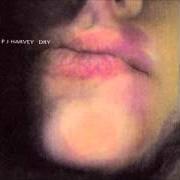 Il testo JOE di PJ HARVEY è presente anche nell'album Dry (1992)
