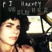 Il testo THE SLOW DRUG di PJ HARVEY è presente anche nell'album Uh huh her (2004)