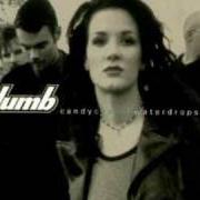 Il testo CONCRETE di PLUMB è presente anche nell'album Simply plumb (2005)