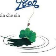 Il testo COMPLEANNO DI MAGGIO dei POOH è presente anche nell'album Buona fortuna (1981)