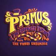 Primus & the chocolate factory