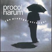 Il testo ONE MORE TIME dei PROCOL HARUM è presente anche nell'album The prodigal stranger (1991)