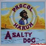 Il testo A SALTY DOG dei PROCOL HARUM è presente anche nell'album A salty dog (1969)