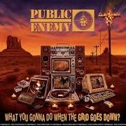 Il testo MERICA MIRROR dei PUBLIC ENEMY è presente anche nell'album What you gonna do when the grid goes down? (2020)