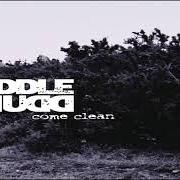 Il testo PISS IT ALL AWAY dei PUDDLE OF MUDD è presente anche nell'album Come clean (2001)