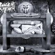 Il testo HUMAN GARBAGE dei PUNGENT STENCH è presente anche nell'album Ampeauty (2004)