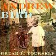 Il testo DESPERATION BREEDS di ANDREW BIRD è presente anche nell'album Break it yourself (2012)