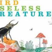 Il testo TENUOUSNESS di ANDREW BIRD è presente anche nell'album Noble beast / useless creatures (2009)