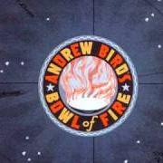 Il testo WAY OUT WEST di ANDREW BIRD è presente anche nell'album The swimming hour (2001)