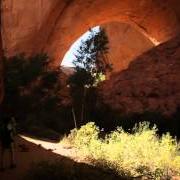 Il testo RISING WATER di ANDREW BIRD è presente anche nell'album Echolocations: canyon (2015)