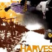 Il testo THE SIREN OF LIBERTY ISLAND di QWEL & MAKER è presente anche nell'album The harvest (2004)