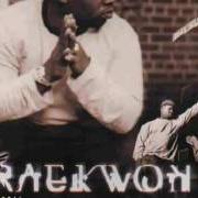 Il testo YAE YO di RAEKWON è presente anche nell'album Immobilarity (1999)