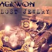 Il testo NEW DAY di RAEKWON è presente anche nell'album Lost jewlry ep (2013)