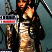 Il testo STRAIGHT SPITTIN' PART II di RAH DIGGA è presente anche nell'album Dirty harriet (2000)