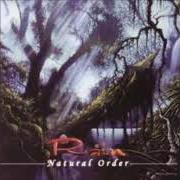 Il testo MY OWN PEACE di RAIN è presente anche nell'album Natural order (2001)