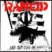 Il testo OLYMPIA WA dei RANCID è presente anche nell'album ...And out come the wolves (1995)