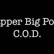 Il testo STEP UP di RAPPER BIG POOH è presente anche nell'album The delightful bars: north american pie version (2009)