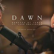 Il testo FALL BACK di REBECCA ST. JAMES è presente anche nell'album Dawn (2020)