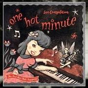 Il testo DEEP KICK dei RED HOT CHILI PEPPERS è presente anche nell'album One hot minute (1995)