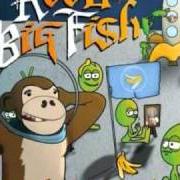 Il testo LIVE YOUR DREAM dei REEL BIG FISH è presente anche nell'album Monkeys for nothin' and the chimps for free (2007)