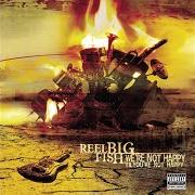 Il testo A-W-E-S-O-M-E dei REEL BIG FISH è presente anche nell'album We're not happy 'til you're not happy (2005)