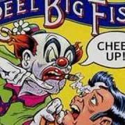 Il testo AVERAGE MAN dei REEL BIG FISH è presente anche nell'album Cheer up! (2002)