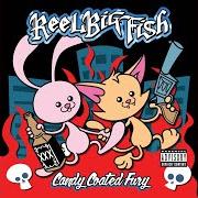Il testo SHE'S NOT THE END OF THE WORLD dei REEL BIG FISH è presente anche nell'album Candy coated fury (2012)