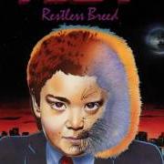 Il testo RESTLESS BREED dei RIOT è presente anche nell'album Restless breed (1982)
