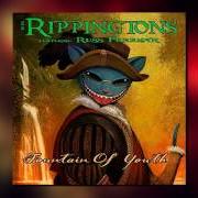 Il testo KILIMANJARO di RIPPINGTONS è presente anche nell'album Best of the rippingtons (1999)