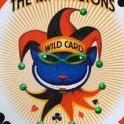 Il testo SPANISH GIRL di RIPPINGTONS è presente anche nell'album Wild card (2005)
