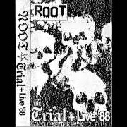 Il testo ARALYON dei ROOT è presente anche nell'album The trial (1989)