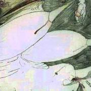 Echoes of anguish Echoes of anguish