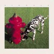 Il testo THE WEAPON (PART II OF FEAR) dei RUSH è presente anche nell'album Signals (1982)