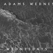 Il testo POISON & PAIN di RYAN ADAMS è presente anche nell'album Wednesdays (2020)