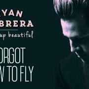 Il testo FORGOT HOW TO FLY di RYAN CABRERA è presente anche nell'album Wake up beautiful (2015)