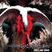 Il testo WHO DARED TO SAY (REMASTERED) di S.C.A.L.P. è presente anche nell'album Tears and blood (2000)