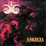 Il testo DIE STIMMEN EINES BACHES DORT degli ANGIZIA è presente anche nell'album Split with amestigon (1996)