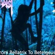 Il testo FROM BELLATRIX TO BETELGEUSE dei SADIST è presente anche nell'album Tribe (1996)