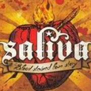 Il testo KING OF THE STEREO di SALIVA è presente anche nell'album Blood stained love story (2007)