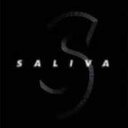 Saliva