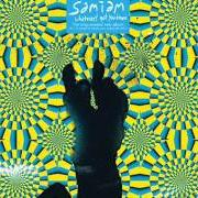 Il testo LULLABY dei SAMIAM è presente anche nell'album Whatever's got you down (2006)