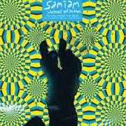 Il testo GET IT RIGHT dei SAMIAM è presente anche nell'album Whatever's got you down (2006)