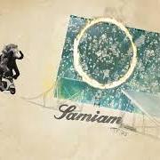 Il testo CLEAN UP THE MESS dei SAMIAM è presente anche nell'album Trips (2011)