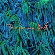 Il testo BEST OF TIMES (WORST OF ALL) di ANIMAL COLLECTIVE è presente anche nell'album Tangerine reef (2018)