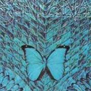 Il testo ASPIRATIONS dei SANTANA è presente anche nell'album Borboletta (1974)