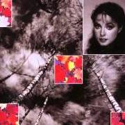 Il testo COME YOU NOT FROM NEWCASTLE? di SARAH BRIGHTMAN è presente anche nell'album The trees they grow so high (1988)